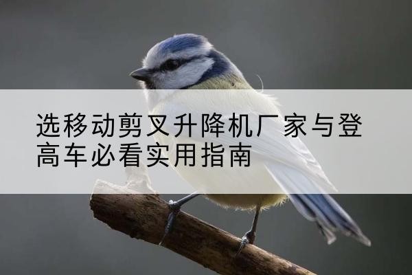武安电动升降机厂家-选移动剪叉升降机厂家与登高车必看实用指南