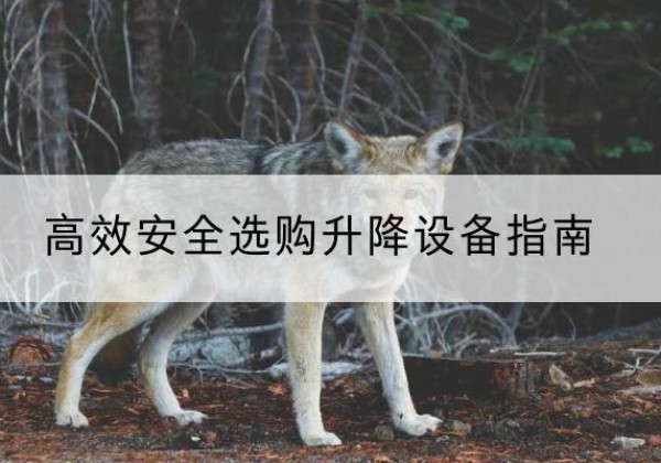 武安升降货梯厂家推荐-*安全选购升降设备指南
