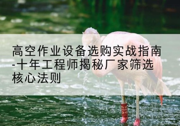 武安剪叉式升降机厂家-高空作业设备选购实战指南-十年工程师揭秘厂家筛选核心法则